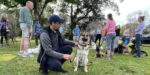 Dog Training, Boarding, Obedience, Agility Training, Long-Term Boarding, Free Estimate