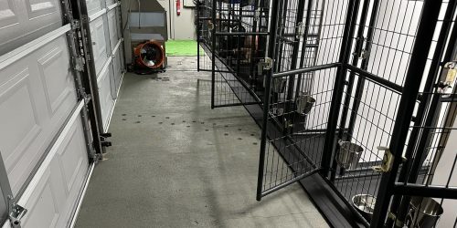 Dog Training, Boarding, Obedience, Agility Training, Long-Term Boarding, Free Estimate